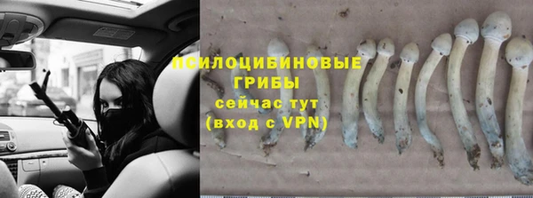 ГАЛЛЮЦИНОГЕННЫЕ ГРИБЫ Беломорск