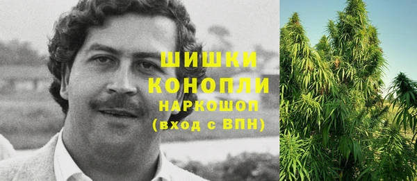 ГАЛЛЮЦИНОГЕННЫЕ ГРИБЫ Беломорск