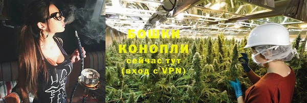 ГАЛЛЮЦИНОГЕННЫЕ ГРИБЫ Беломорск